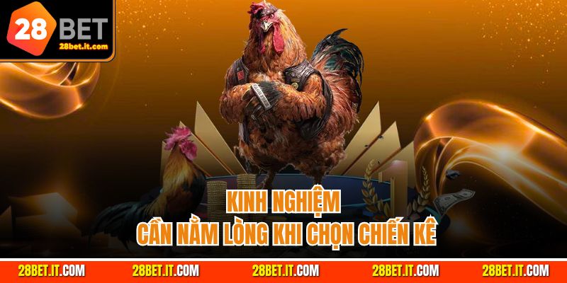 Một vài kinh nghiệm cần biết khi chọn chiến kê