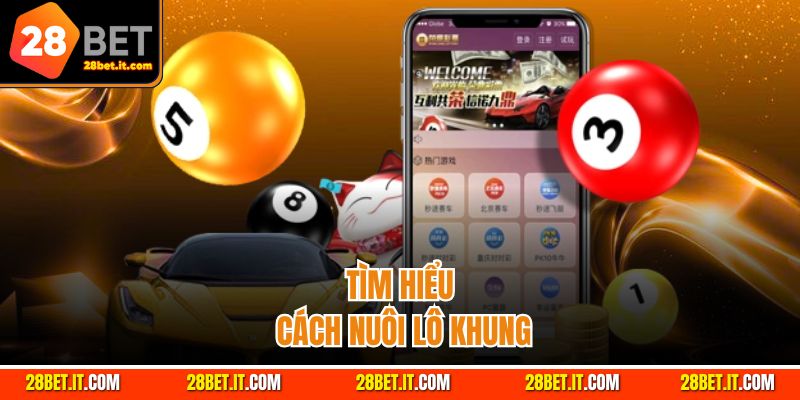 Tìm hiểu cách nuôi lô khung sao cho đạt hiệu quả cao nhất