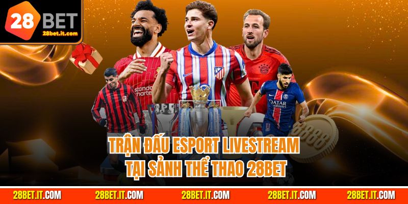 Trận đấu esport livestream tại sảnh thể thao 28Bet